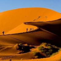 Le désert du Namib.