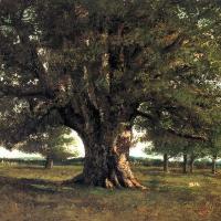 1864 - Le chêne de Flagey