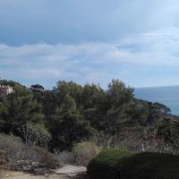 Mare-Nostrum 