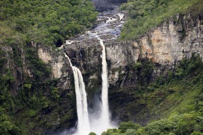 Parc Pau Brasil