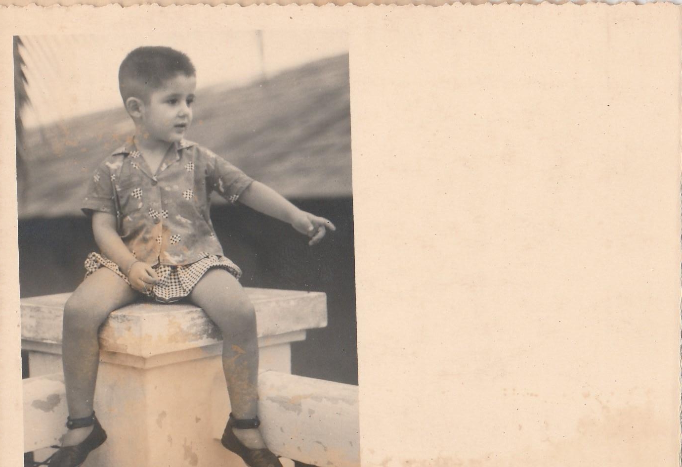 Ami - 1957