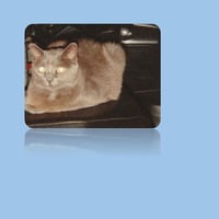 Bouboule 1 jpg