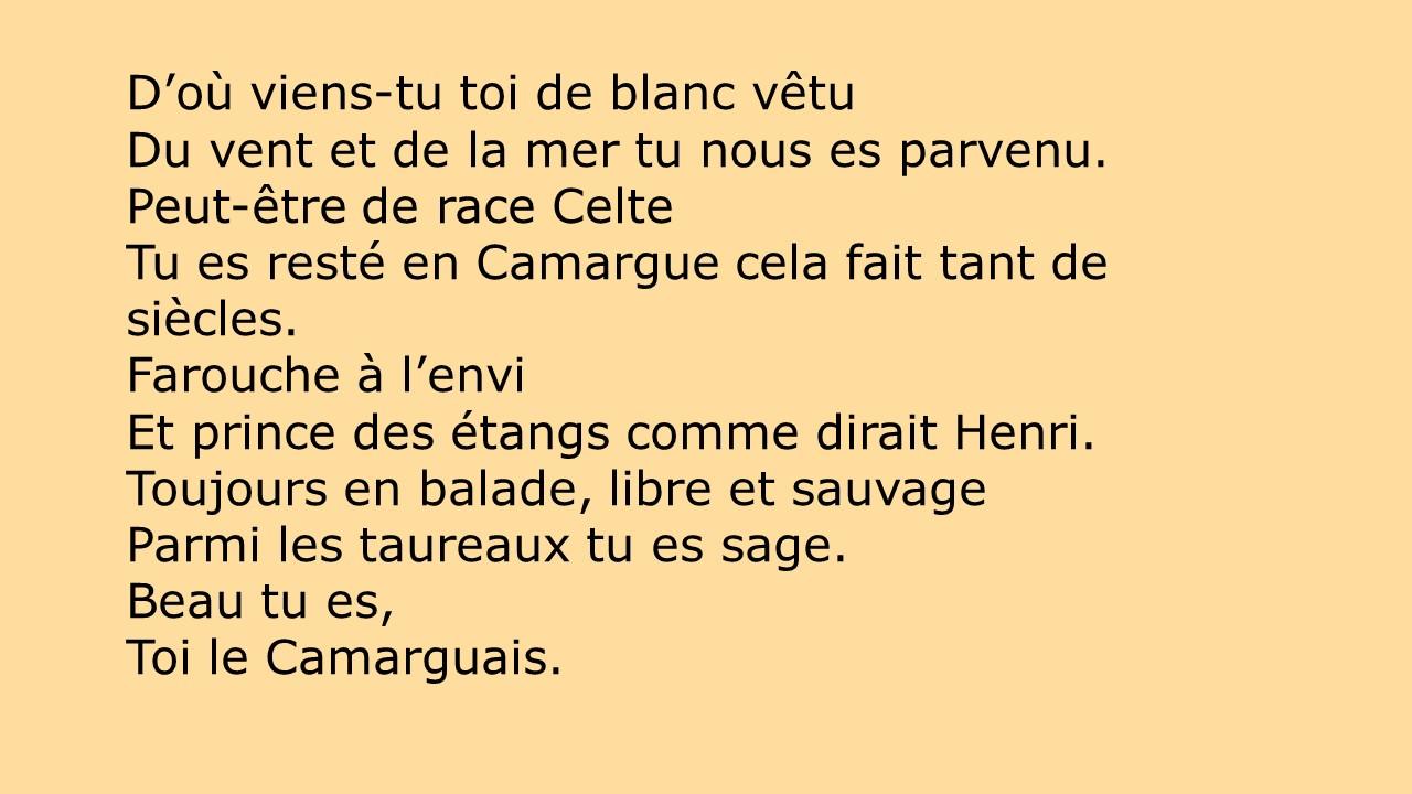 Camarguais 2 jpeg