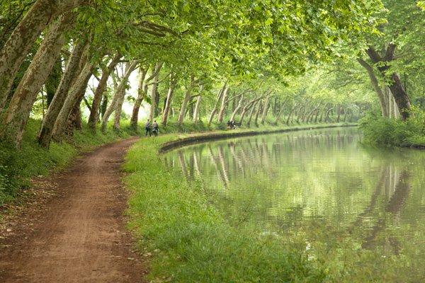 Canaldumidi