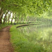 Canaldumidi