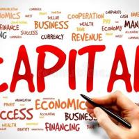 Capital 59458780