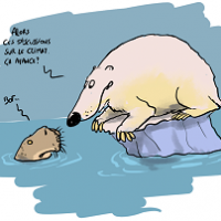 Climat