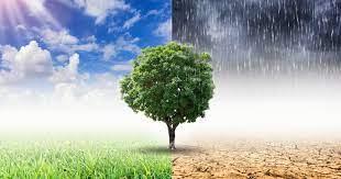 Climat3