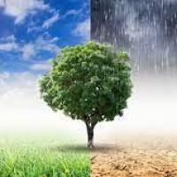 Climat3