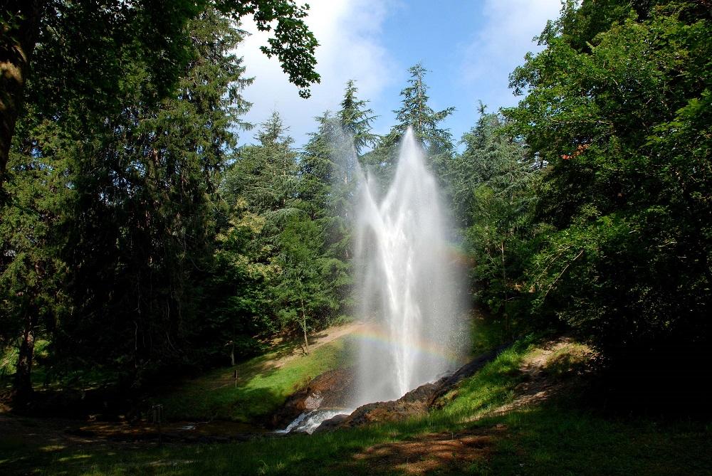 Gerbe eau
