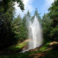 Gerbe eau