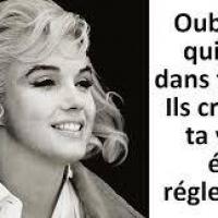 Jalousie2