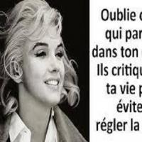 Jalousie460339 1