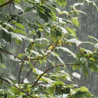 La pluie maquette