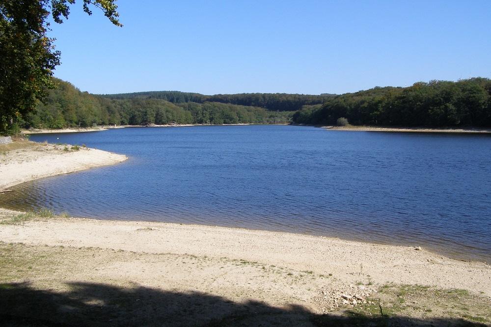 Lac lampy