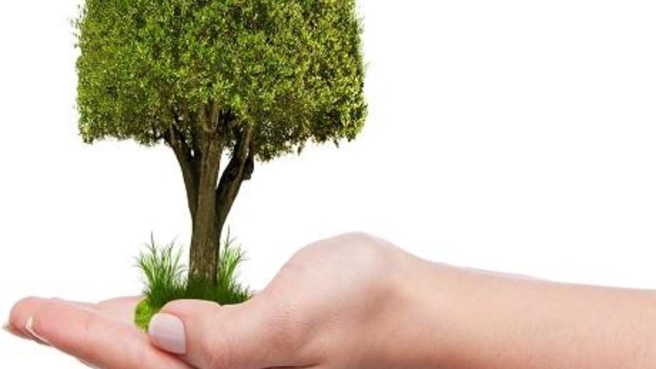 Maquette ecologie