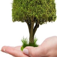 Maquette ecologie