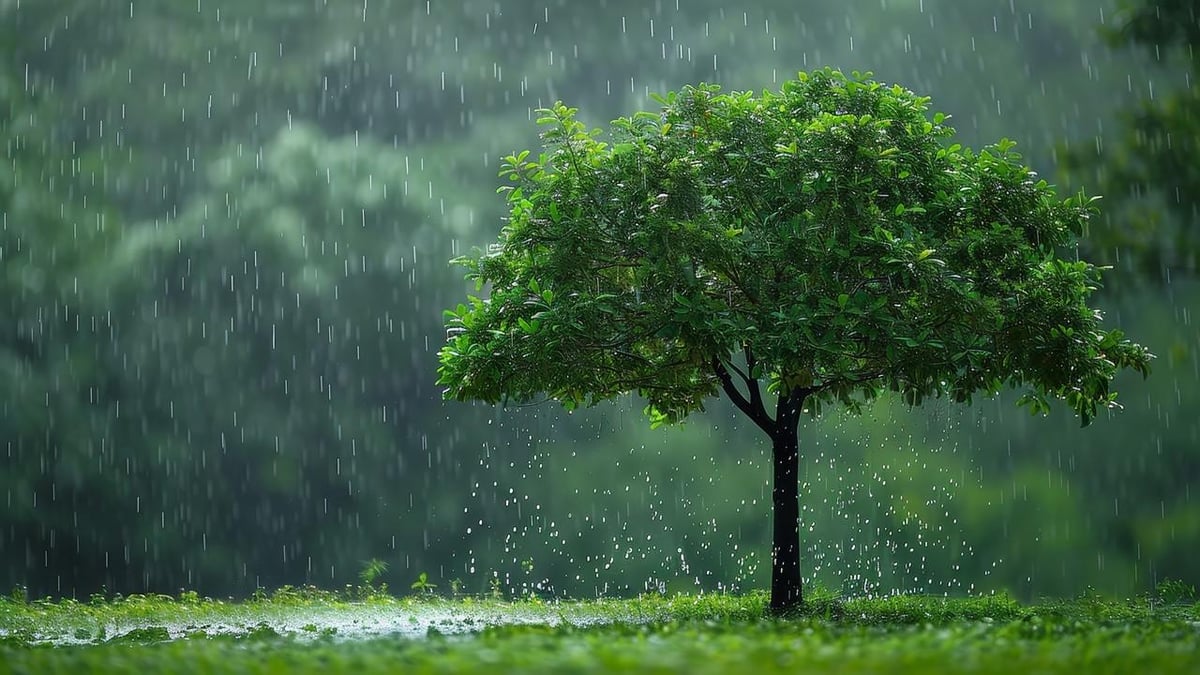 Maquette la pluie