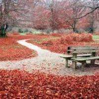 Novembre miniature