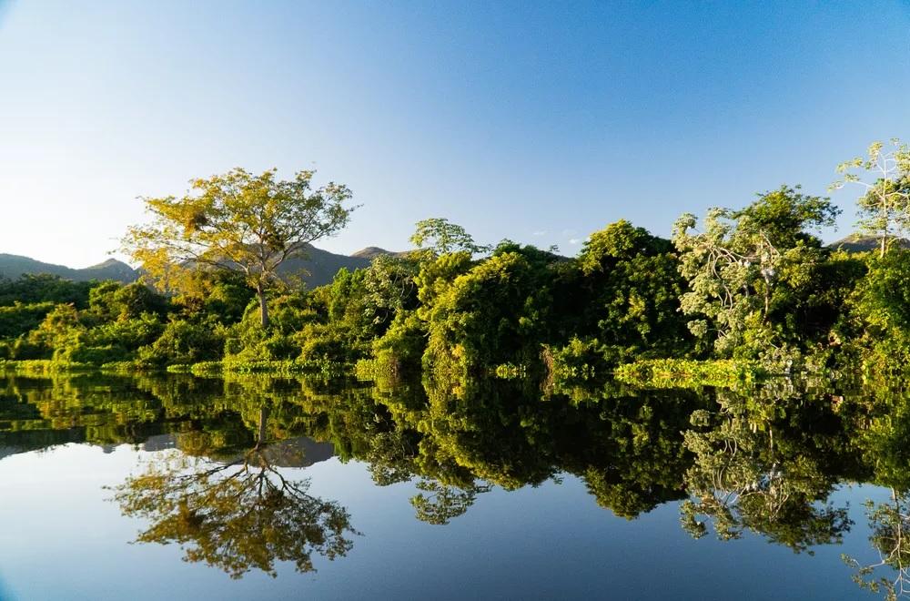 Parc ilha grande etat du mato grosso do sul etat du parana