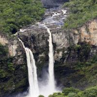 Parc Pau Brasil
