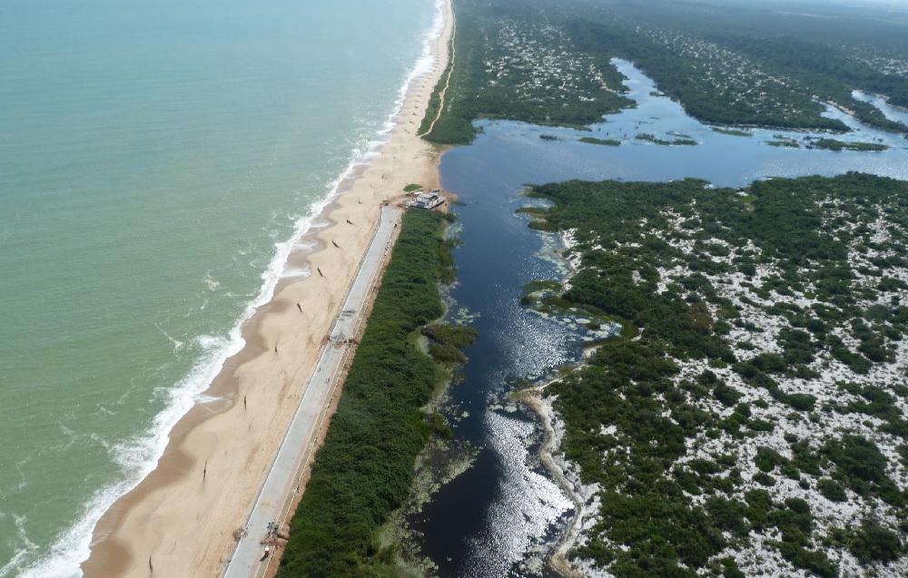 Parc restinga de jurubatiba etat de rio de janeiro