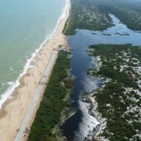 Parc restinga de jurubatiba etat de rio de janeiro