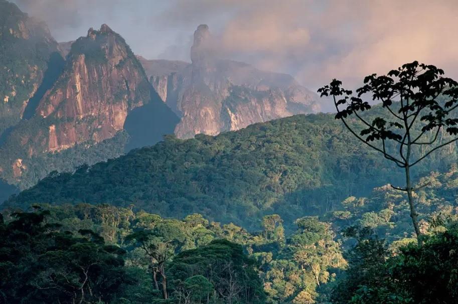 Parc serra dos orgaos etat de rio de janeiro