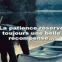 Payirnce460339