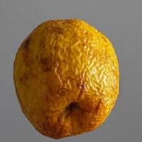Pomme459339