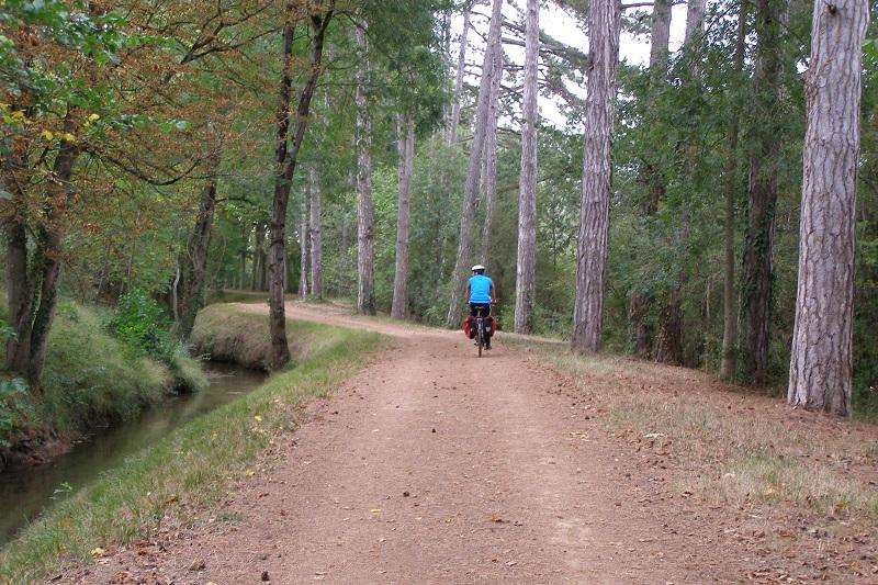 Rigole plaine