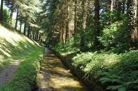 Rigole1