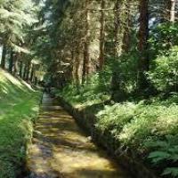 Rigole1