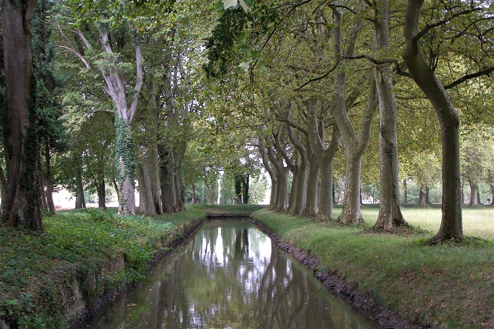 Riogole naurouze