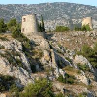 Roquefort