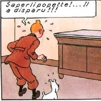 Tintin