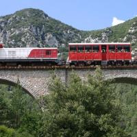 Train1